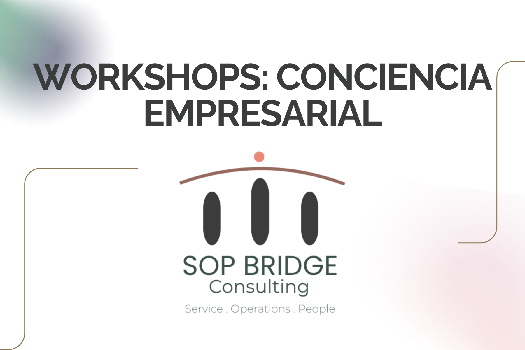 Clean Modern Gradient Business Operations Management Company LinkedIn Video Ad (4)